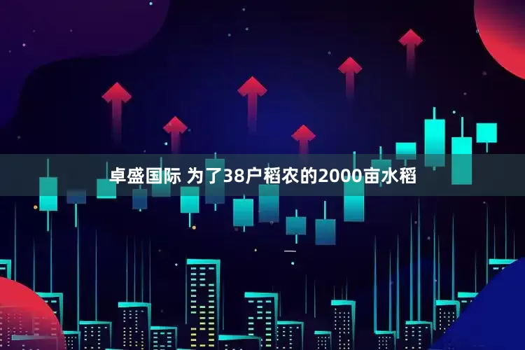 卓盛国际 为了38户稻农的2000亩水稻