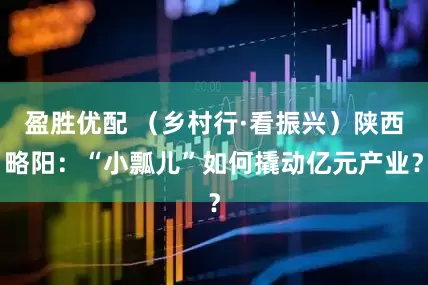 盈胜优配 （乡村行·看振兴）陕西略阳：“小瓢儿”如何撬动亿元产业？