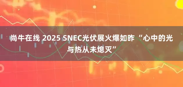 尚牛在线 2025 SNEC光伏展火爆如昨 “心中的光与热从未熄灭”