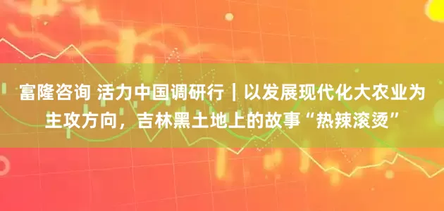 富隆咨询 活力中国调研行｜以发展现代化大农业为主攻方向，吉林黑土地上的故事“热辣滚烫”