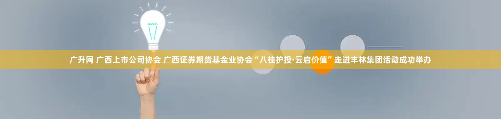 广升网 广西上市公司协会 广西证券期货基金业协会“八桂护投·云启价值”走进丰林集团活动成功举办