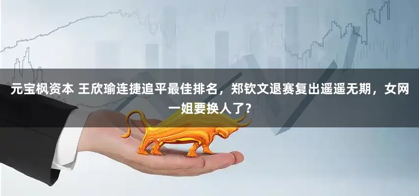 元宝枫资本 王欣瑜连捷追平最佳排名,郑钦文退赛复出遥遥无期,女网一姐要换人了?